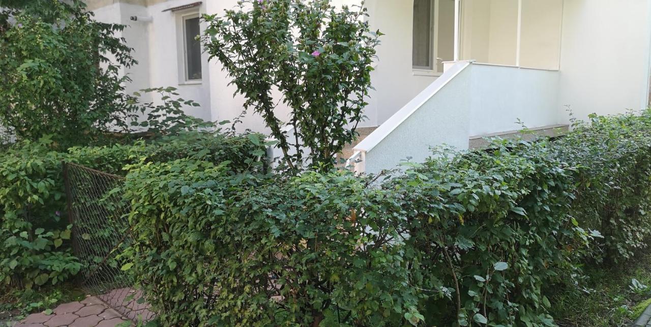 Diamond Apartment Târgu-Mureş Exterior foto