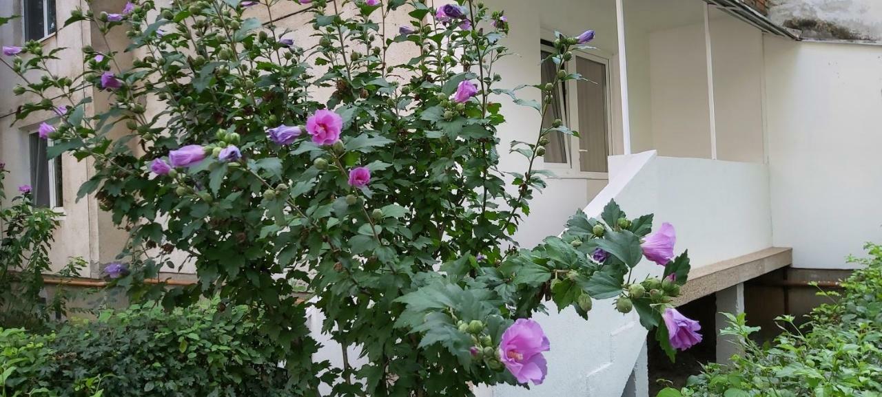 Diamond Apartment Târgu-Mureş Exterior foto